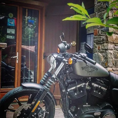 Le Hameau Du Comte De Foix מלון דירות Mercus-Garrabet